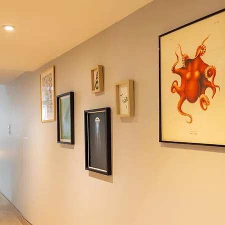 Duplex Elegant • Centre & Marche A Pied * 拉罗歇尔